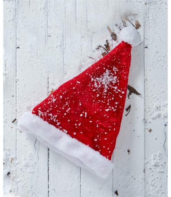 Plush Santa hat
