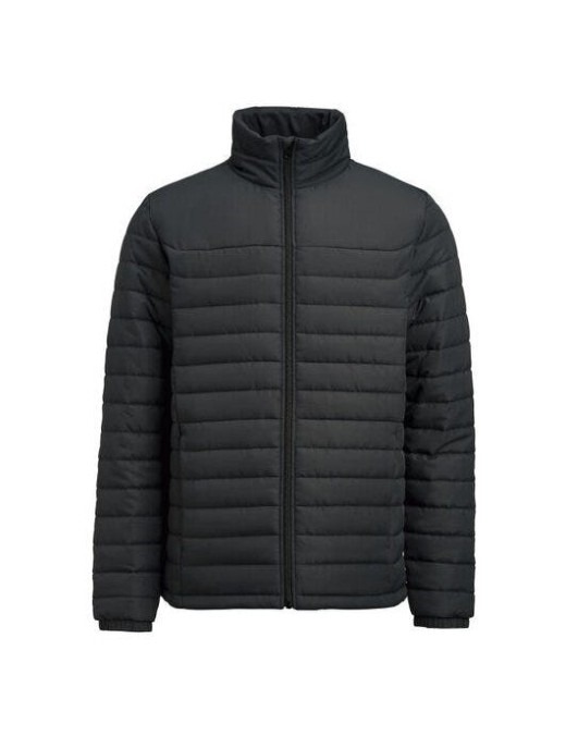 Arches Jacket