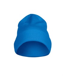 Flexball Beanie